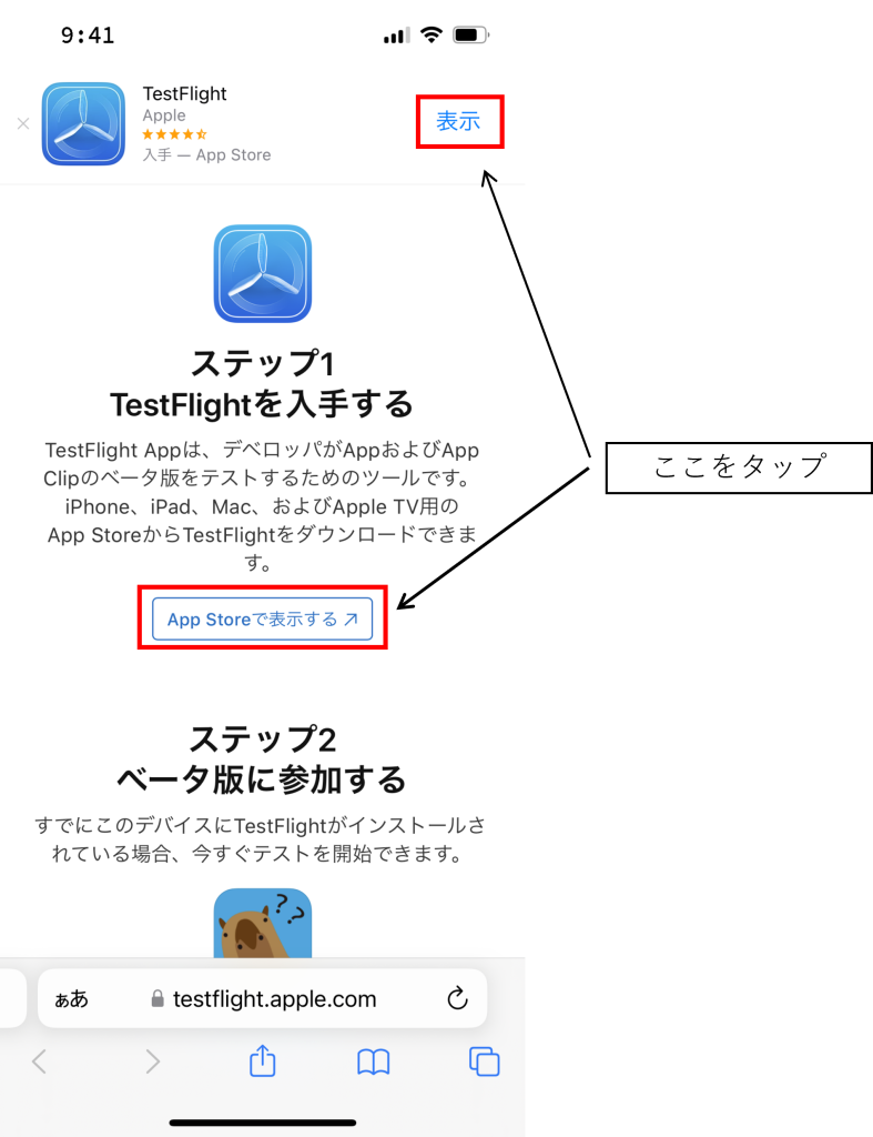 カピバラだれかな?TestFlightイメージ01
