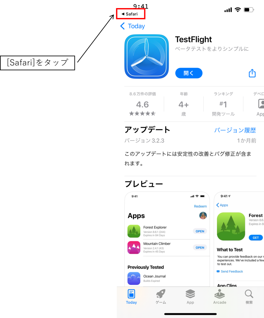 カピバラだれかな?TestFlightイメージ03