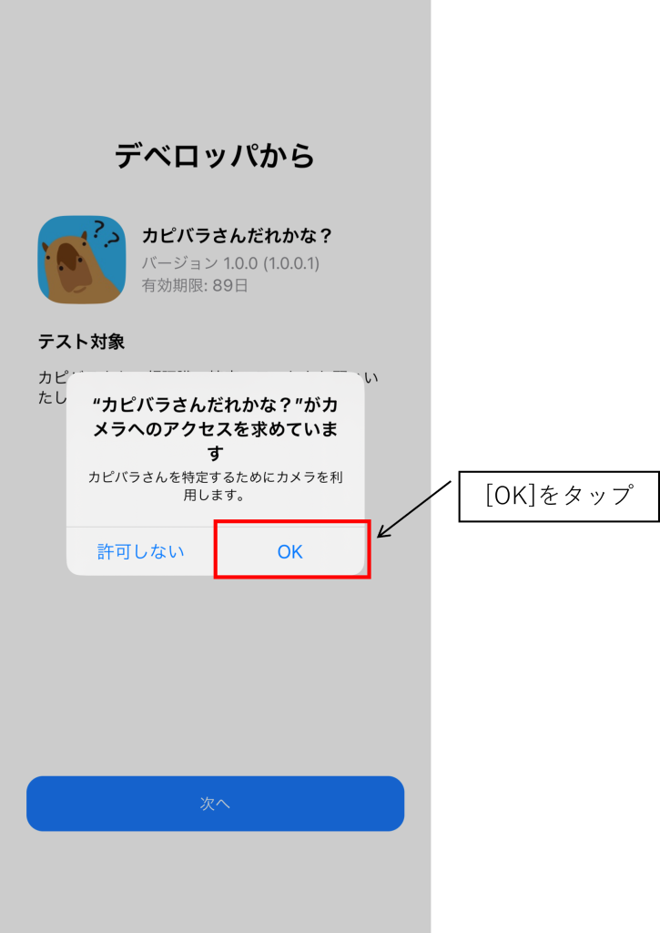カピバラだれかな?TestFlightイメージ10