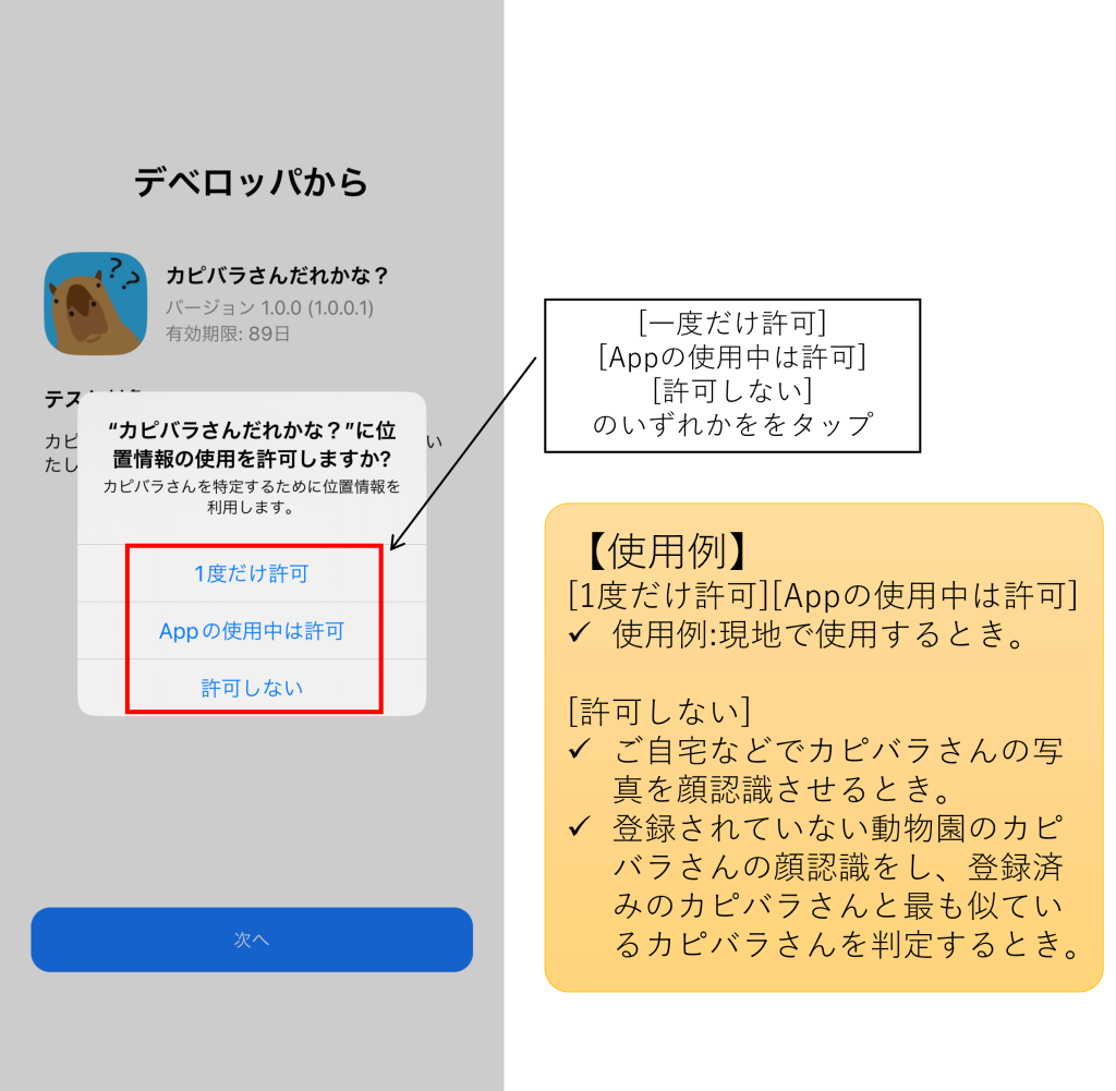 カピバラだれかな?TestFlightイメージ09