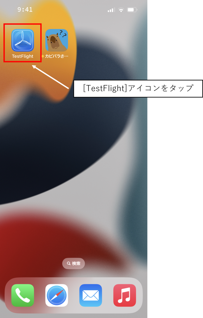 カピバラだれかな？TestFlightイメージ01