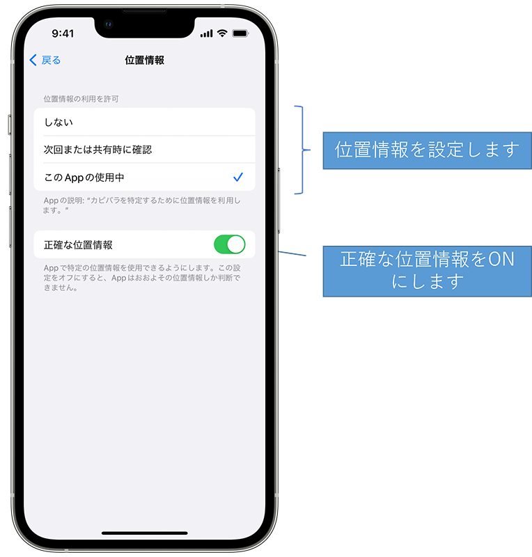 カピバラだれかな?取説イメージ07
